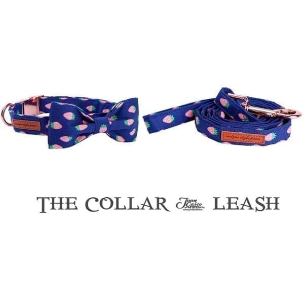 collar-leash-and-bow