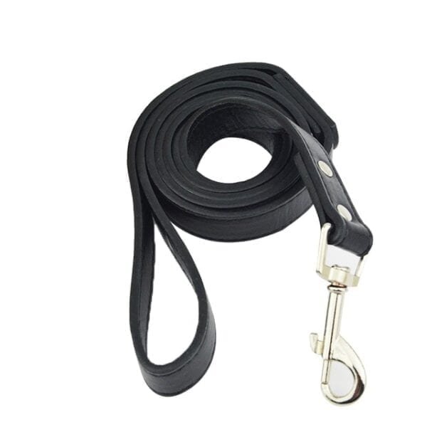 black-leash