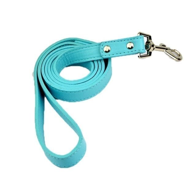 blue-leash