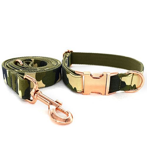 dog-collar-leash-set