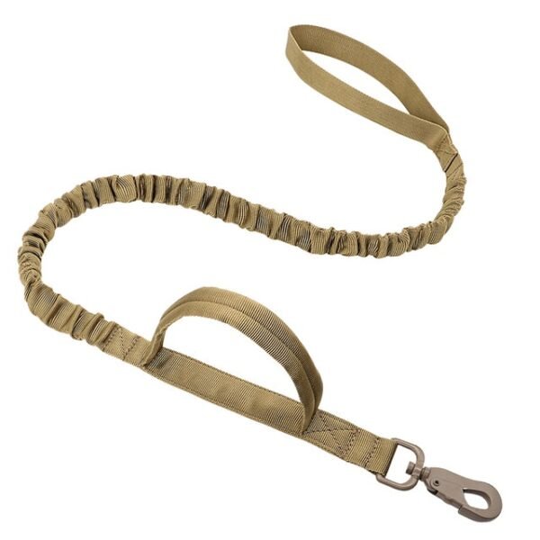 khaki-leash