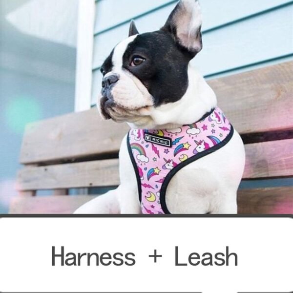 pink-harness-leash