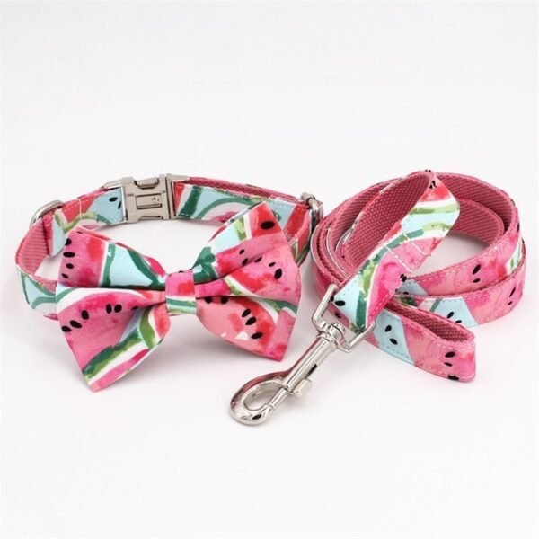 collar-bow-leash