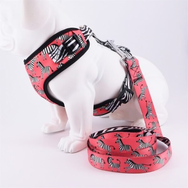 harness-with-leash