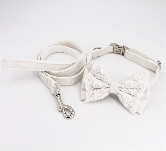 collar-bow-leash