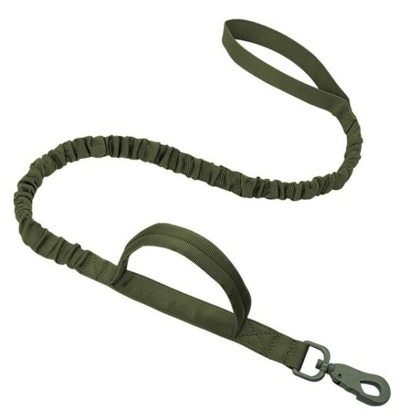 green-leash