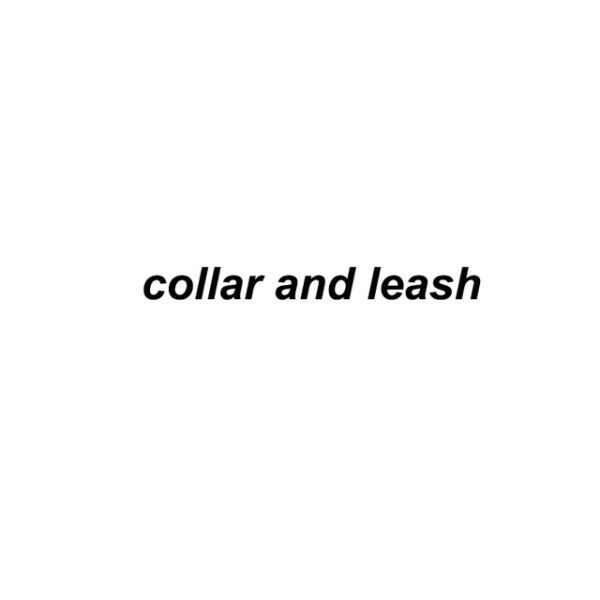 collar-and-leash