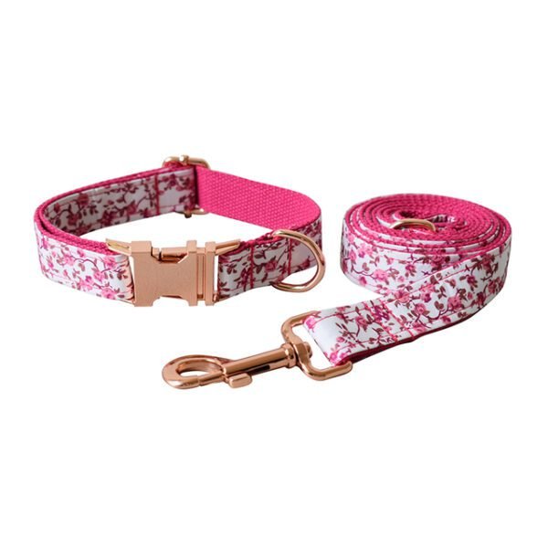 dog-collar-leash-set