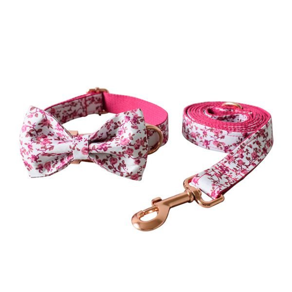 bow-collar-leash-set