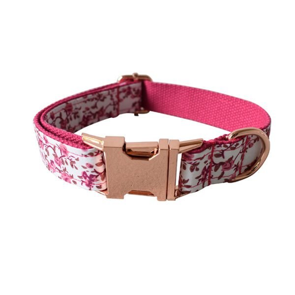 dog-collar