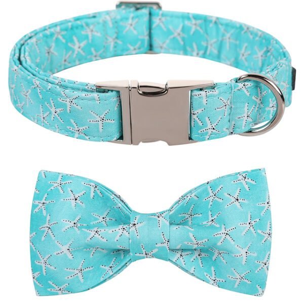 collar-and-bowtie