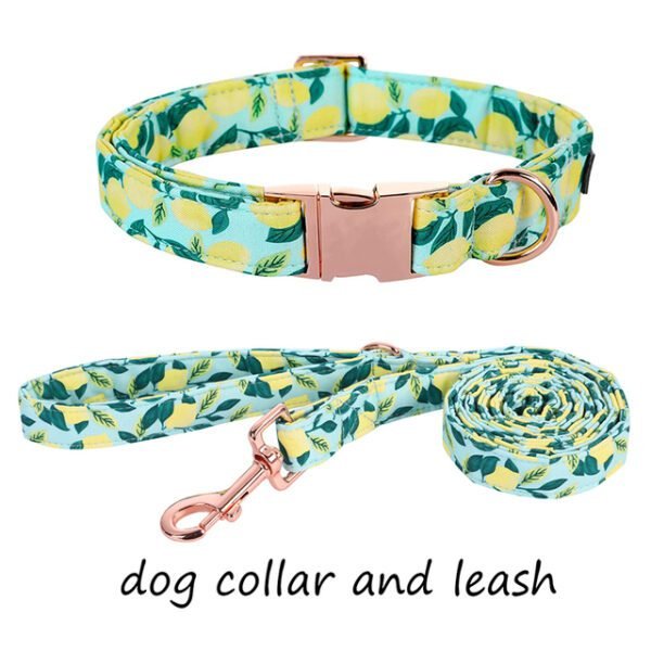 collar-leash