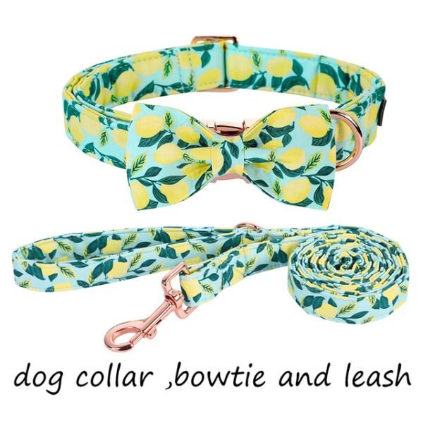 collar-bow-leash