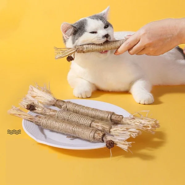 Teeth Stick