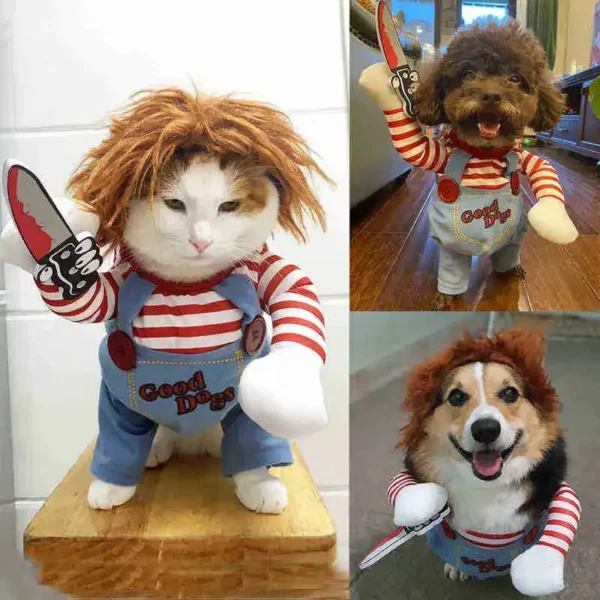 Chuckie - Image 4