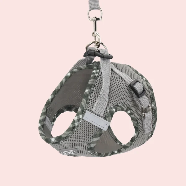 Lola - Image 4