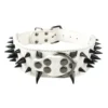 white-black-spike