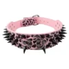 pink-black-spike