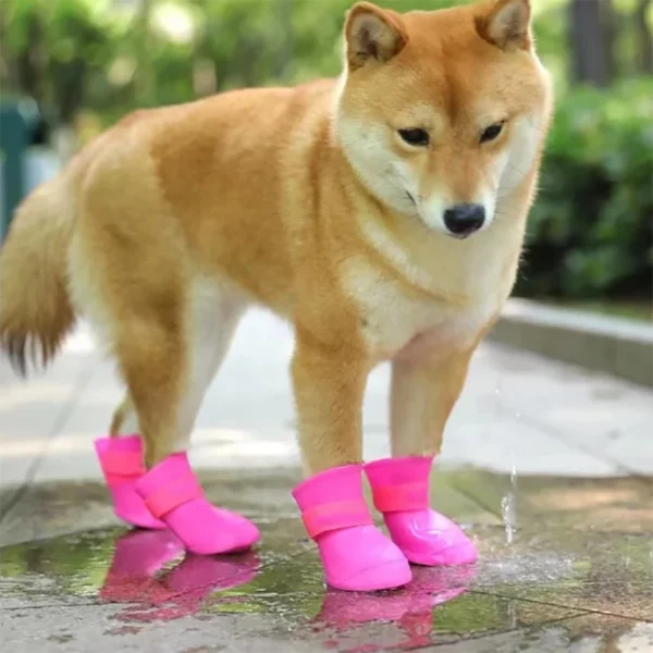 Rainshoe - Image 3