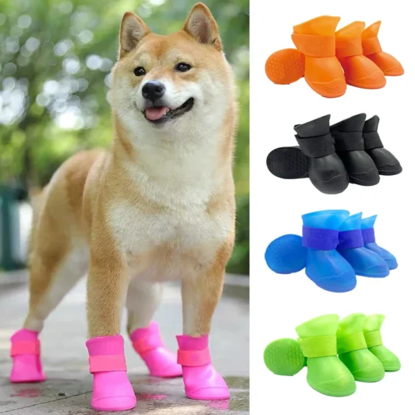 Rainshoe