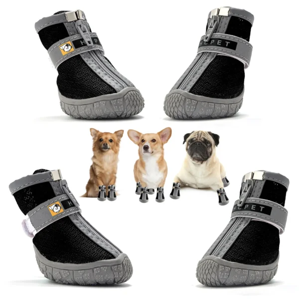 Paw - Image 2