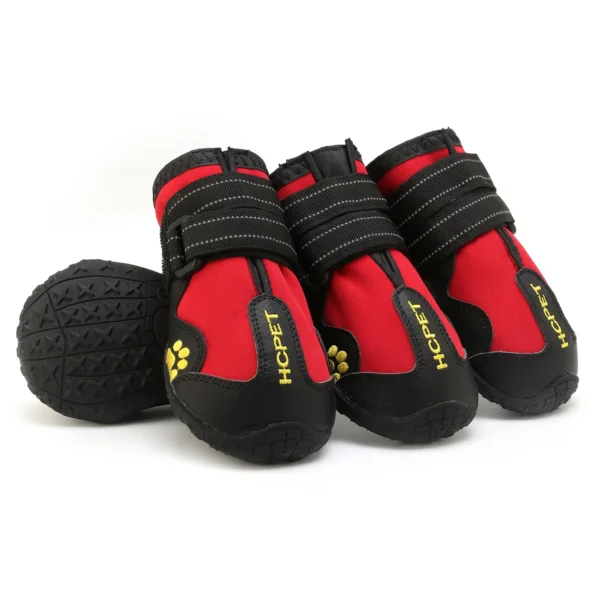 Paw - Image 3