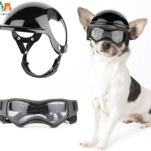 Helmet and Goggles