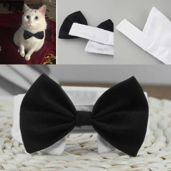 Tie - Image 5