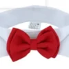 double-bow-tie