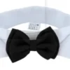 double-bow-tie-1052
