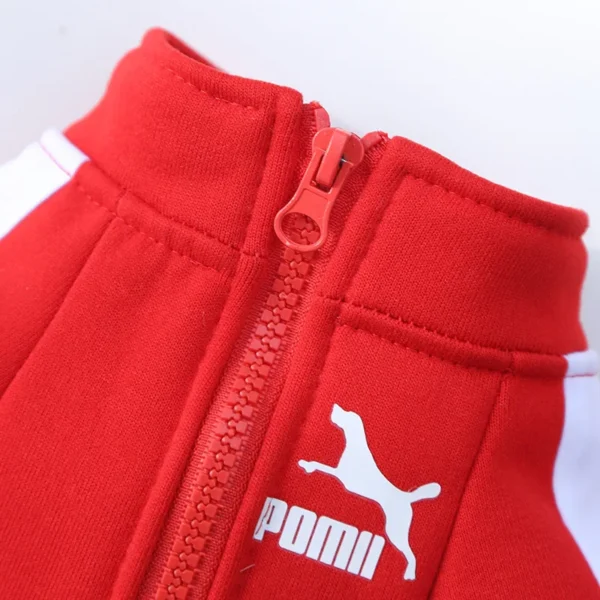 Puma - Image 5