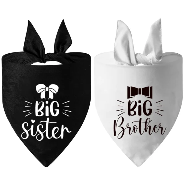 Brother - Image 2
