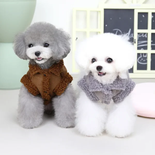 Finnegan - Image 2