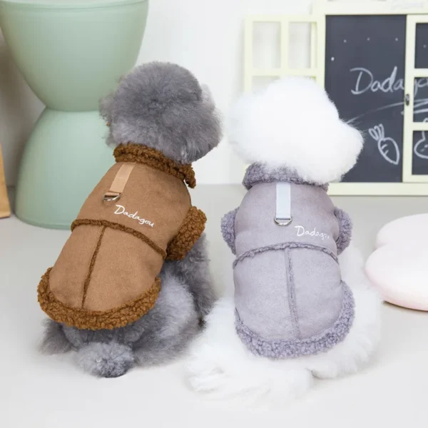 Finnegan - Image 4