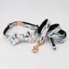 collar-bow-leash