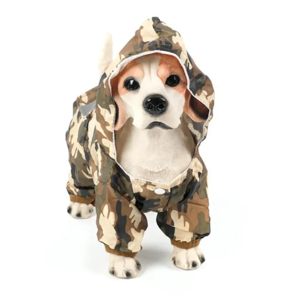 Dunkin - Image 3