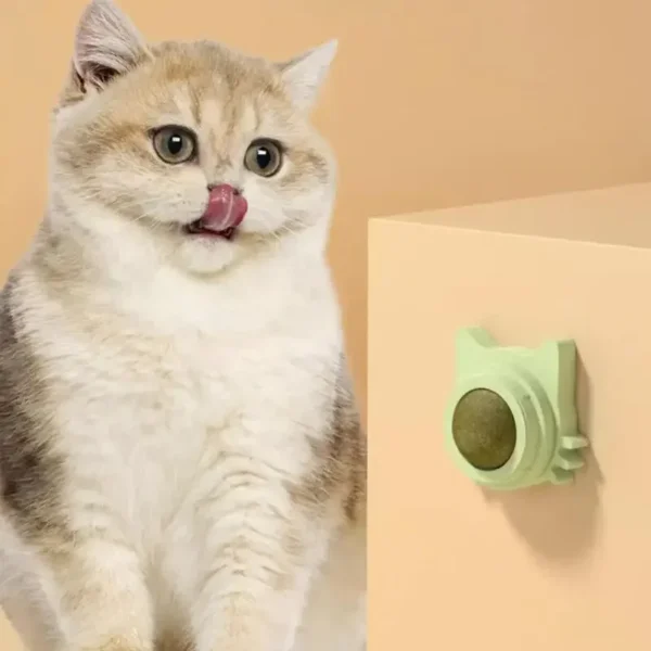 Catnip Balls - Image 2