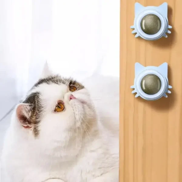 Catnip Balls - Image 3