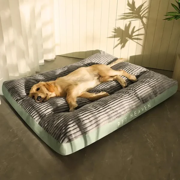 Snuggly - Image 3