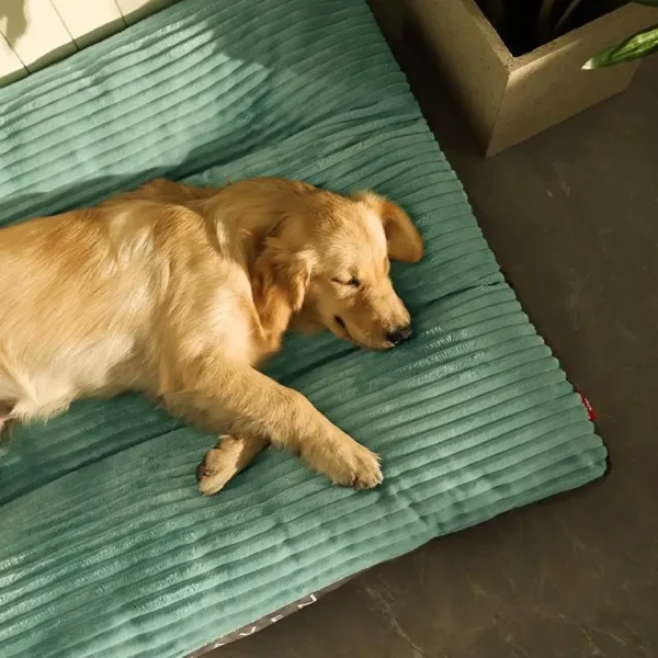 Snuggly - Image 4