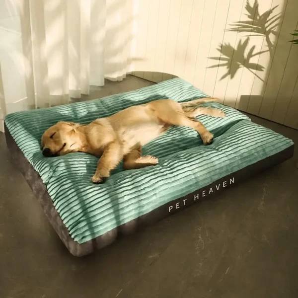Snuggly - Image 2