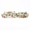 collar-bow-leash
