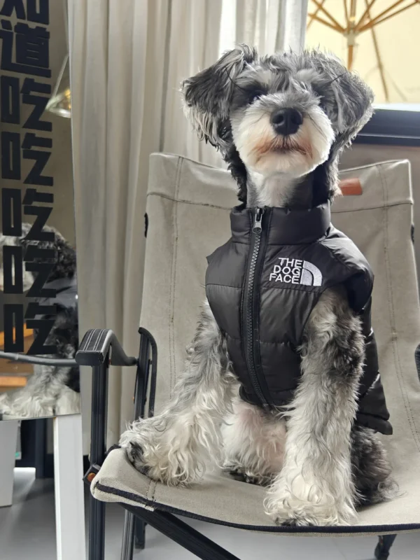Bailey - Image 4
