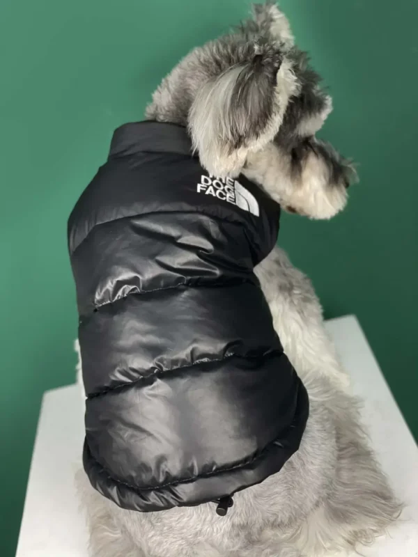 Bailey - Image 5