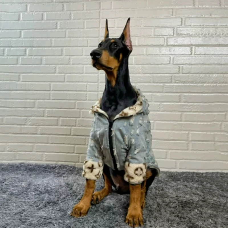 Cotton Candy - Image 4