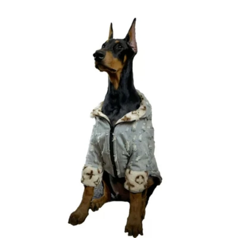 Cotton Candy - Image 5