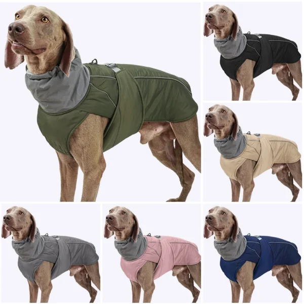 Murphy - Image 3