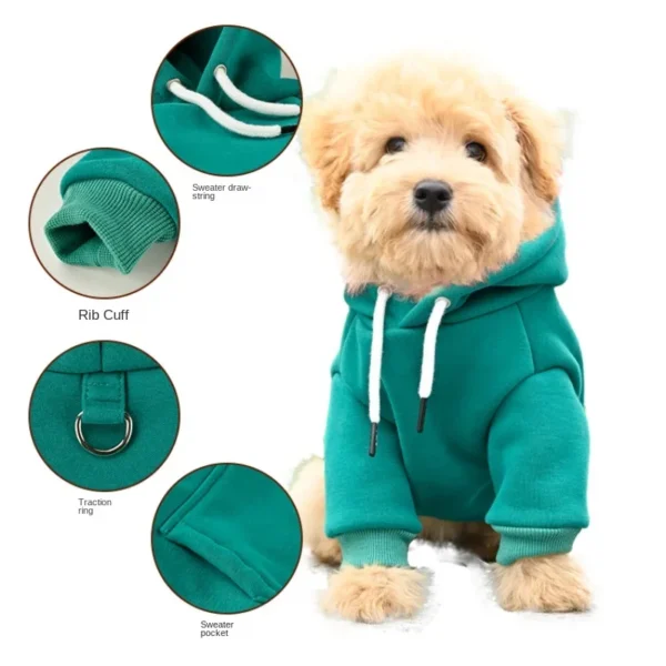Sweatshirt - Image 2