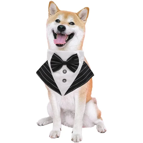 Tuxedo - Image 3