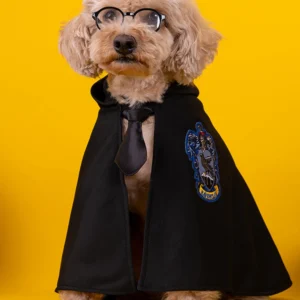 Woof Potter